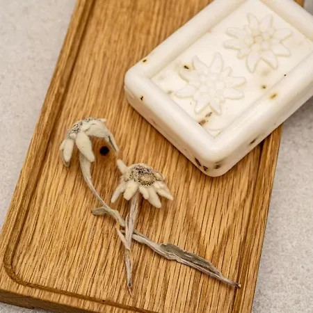 Dependance Dachsteinperle Apartament