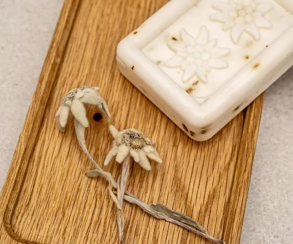 Dependance Dachsteinperle 아파트